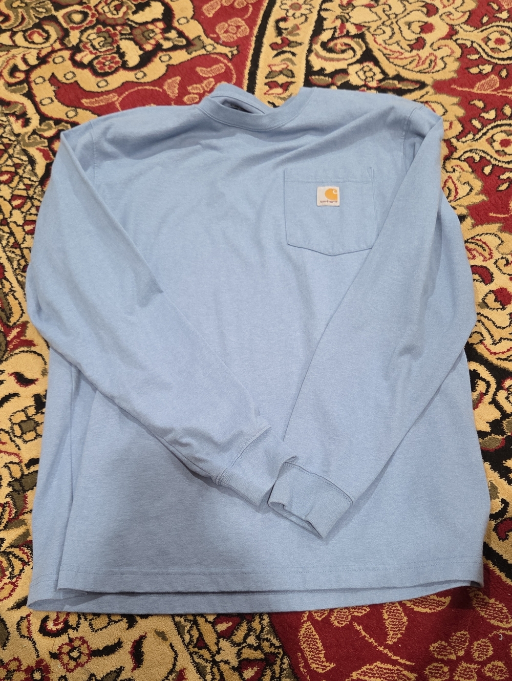 Carhartt Long-Sleeve Pocket T-Shirt in Light Blue